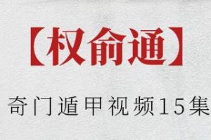权俞通《奇门遁甲》视频