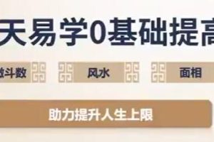 吴明光《90天易学0基础提高营》紫微斗数+风水+面相视频