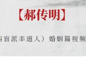 郝传明《婚姻篇》山西盲派丰道人