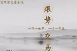 李炳增《跟势交易系统期货》视频教程