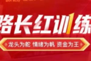 龙头缔造者《一路长红训练营》第2期炒股教程视频