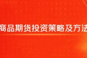 飞云金教《商品期货投资策略及方法》视频教程