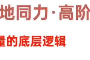 天地同力操盘体系，基础课+高阶课