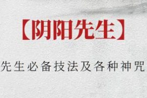阴阳先生《必备技法及各种神咒微课》