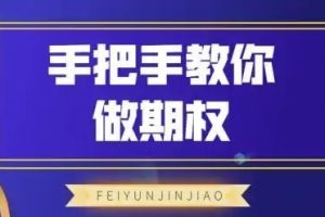 飞云金教《手把手教你做期权》视频教程